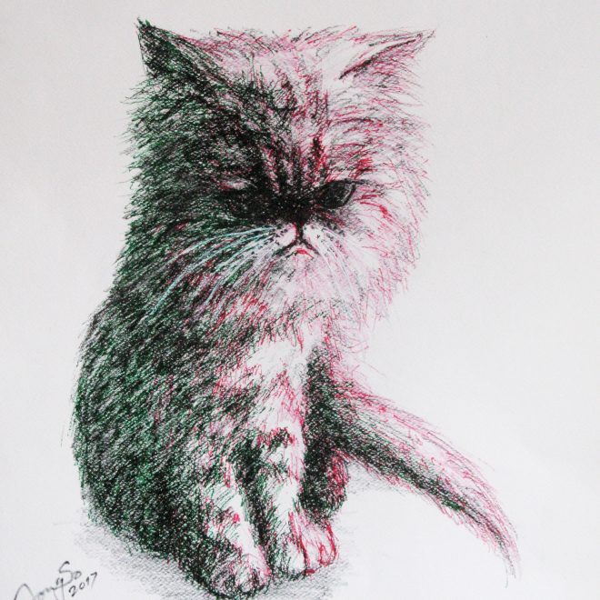 http://Cats-add-grumpy